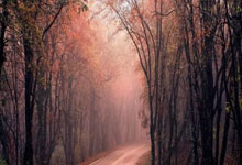 华体会官网:国足安排针对性技战术训练 世豪或被委以重任.