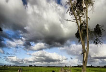 [德甲]凯恩上演“完美帽子戏法” 拜仁大胜美因茨.