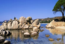 华体会官网:德甲综合:勒沃库森胜波鸿 提前锁定半程冠军.